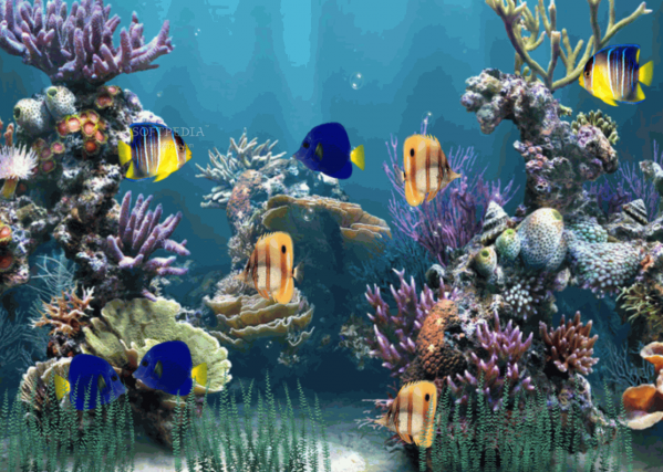 Aquarium wallpaper animated 757453