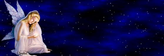 Banniere fee nuit