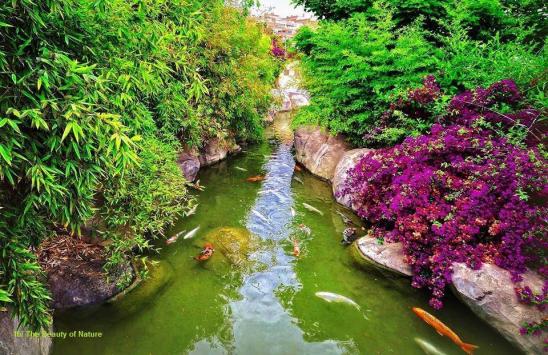 Nature 12