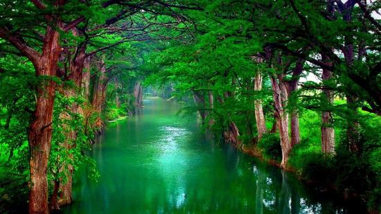 Nature 14