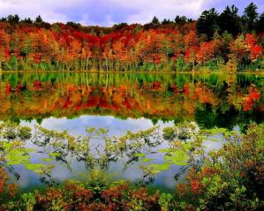 Nature 16