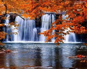 Nature 22