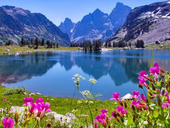 Nature 4