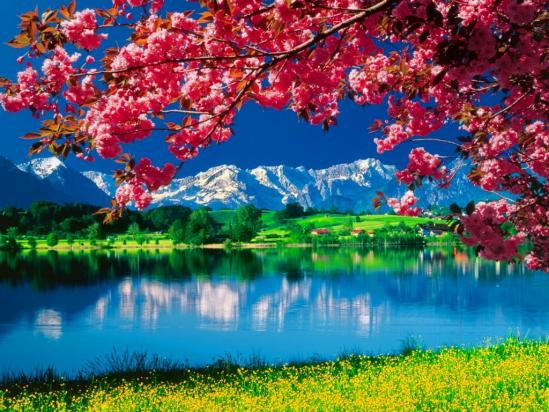 Nature 5