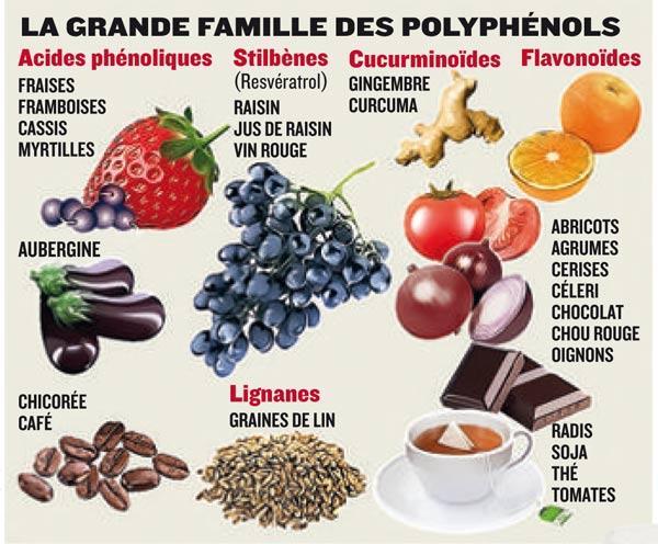 Tableau polyphenols 1